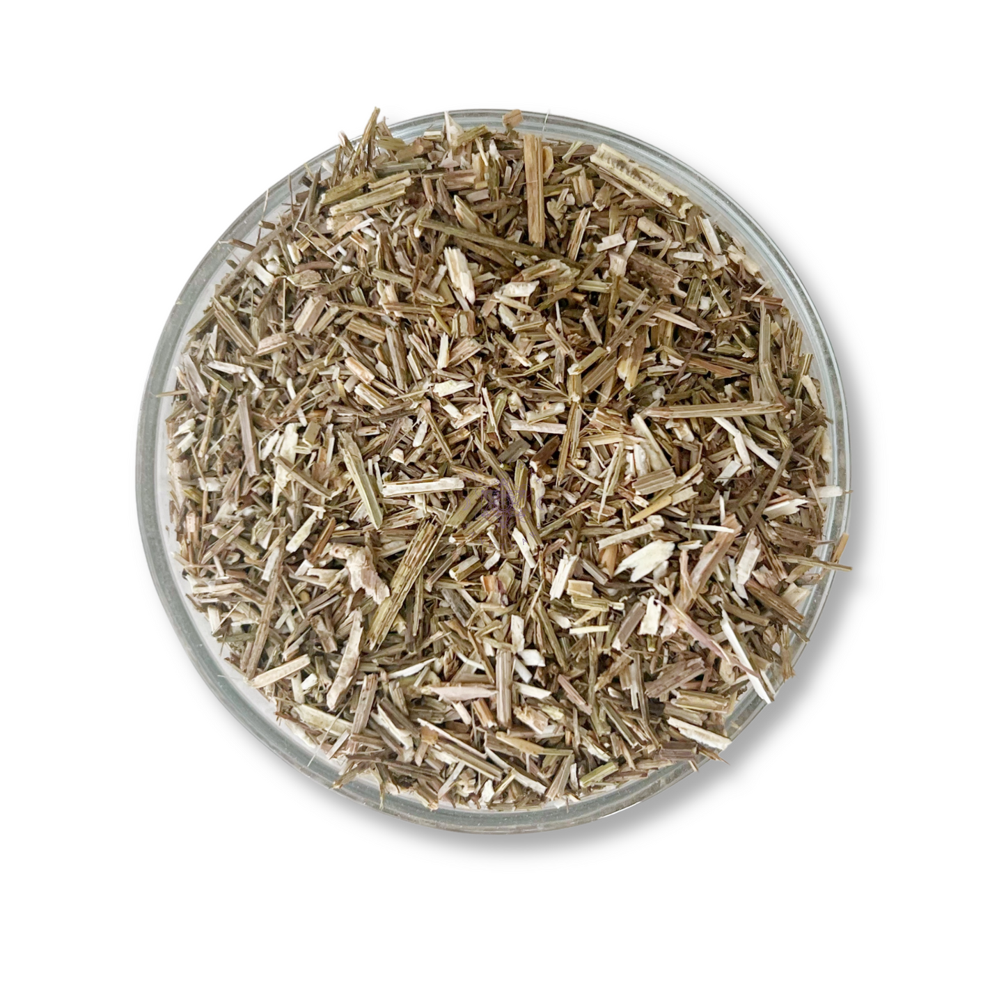 Vervain Herb