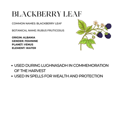 Blackberry Leaf