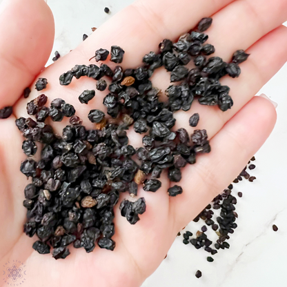 Dried Elderberries