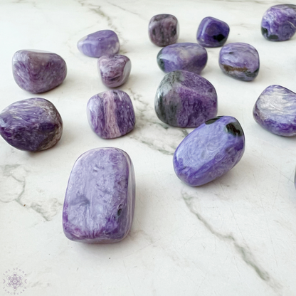 Charoite Tumbled Stones