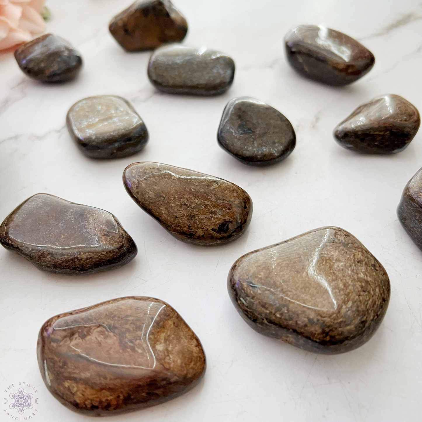 Bronzite Tumbled Stones