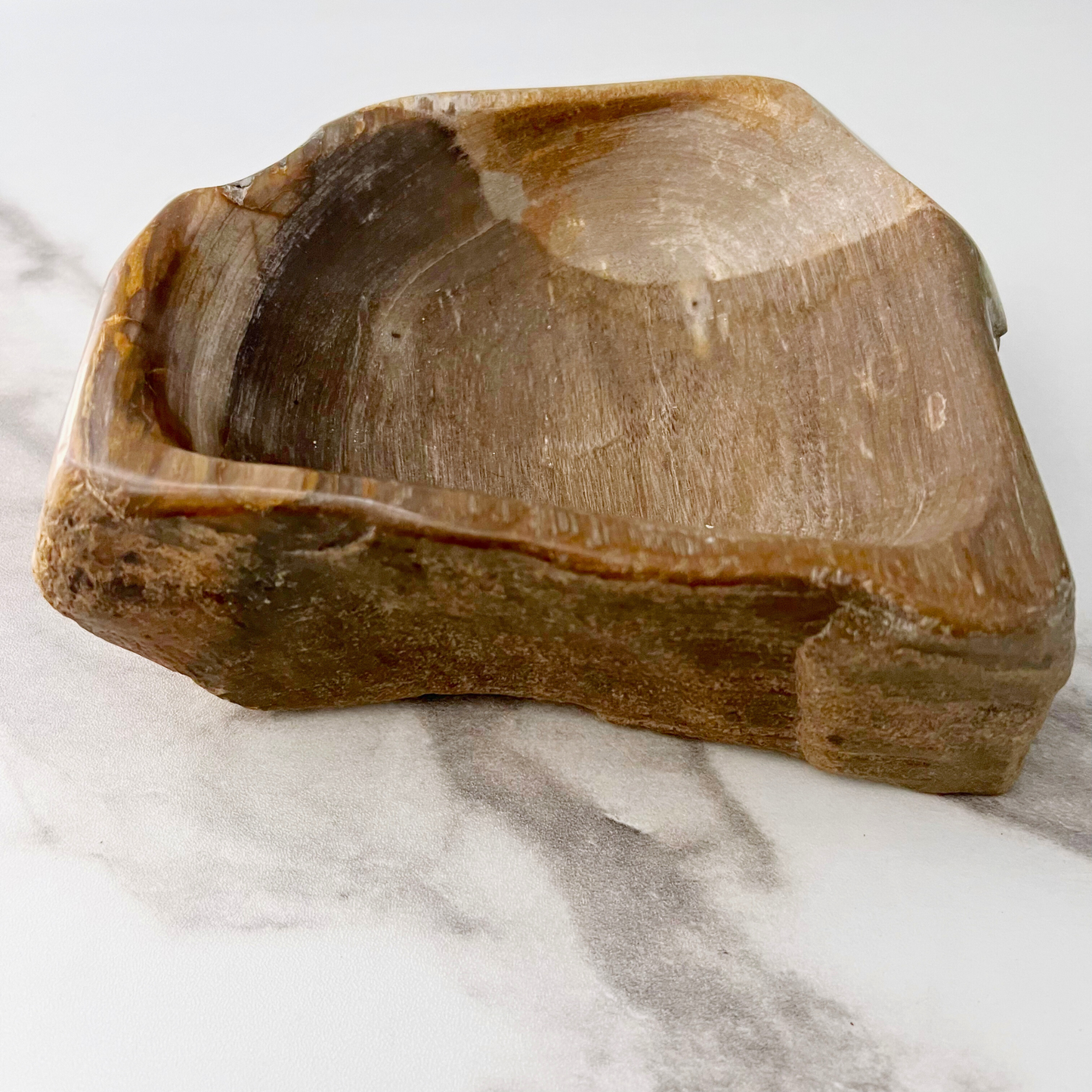 6.5" Petrified Wood Bowl