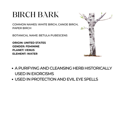 Birch Bark