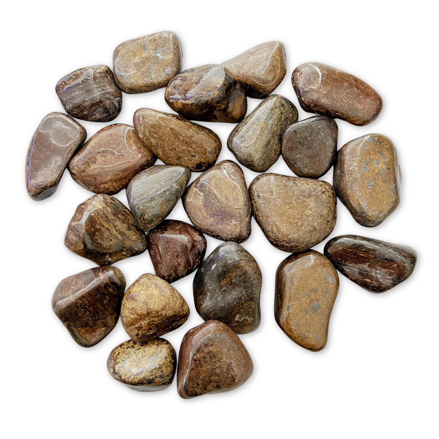 Bronzite Tumbled Stones