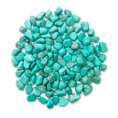 Turquoise Howlite Tumbled Stones