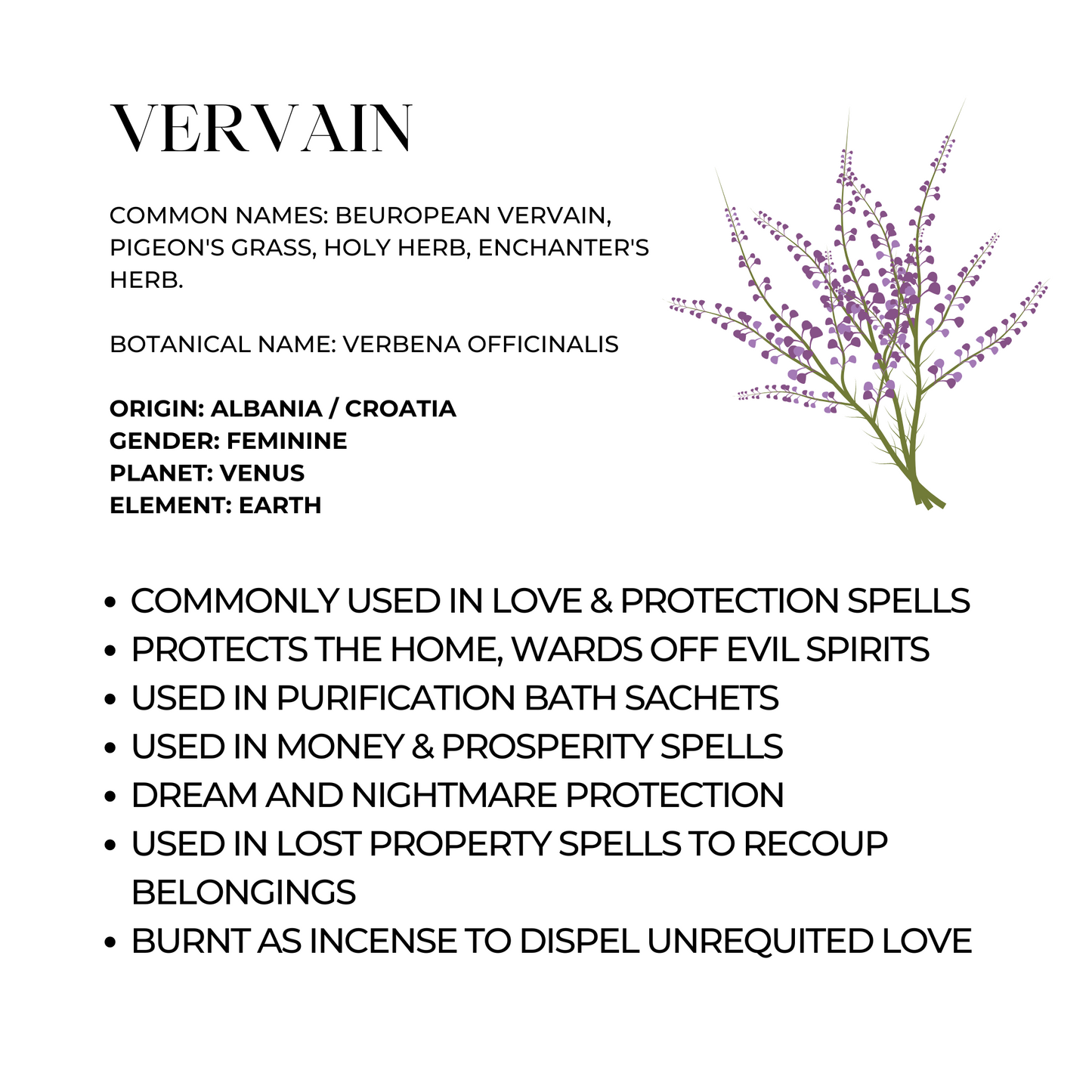 Vervain Herb