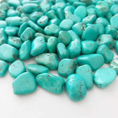 Turquoise Howlite Tumbled Stones