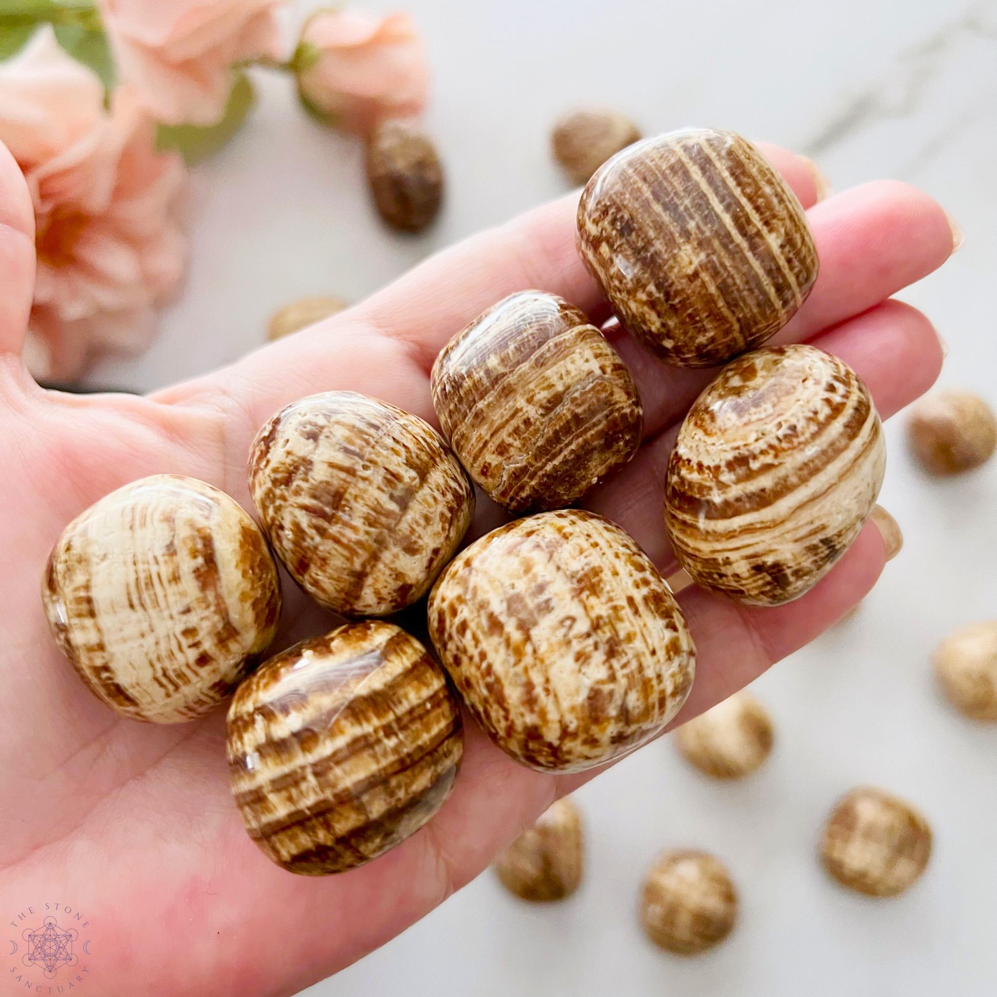 A wooden bowl filled with polished, brown and tan variegated Aragonite Tumbled Stones. The smooth, round stones display unique patterns, enhancing a natural and earthy aesthetic. Known for grounding spiritual development and stress relief, these stones rest elegantly against a plain white background.