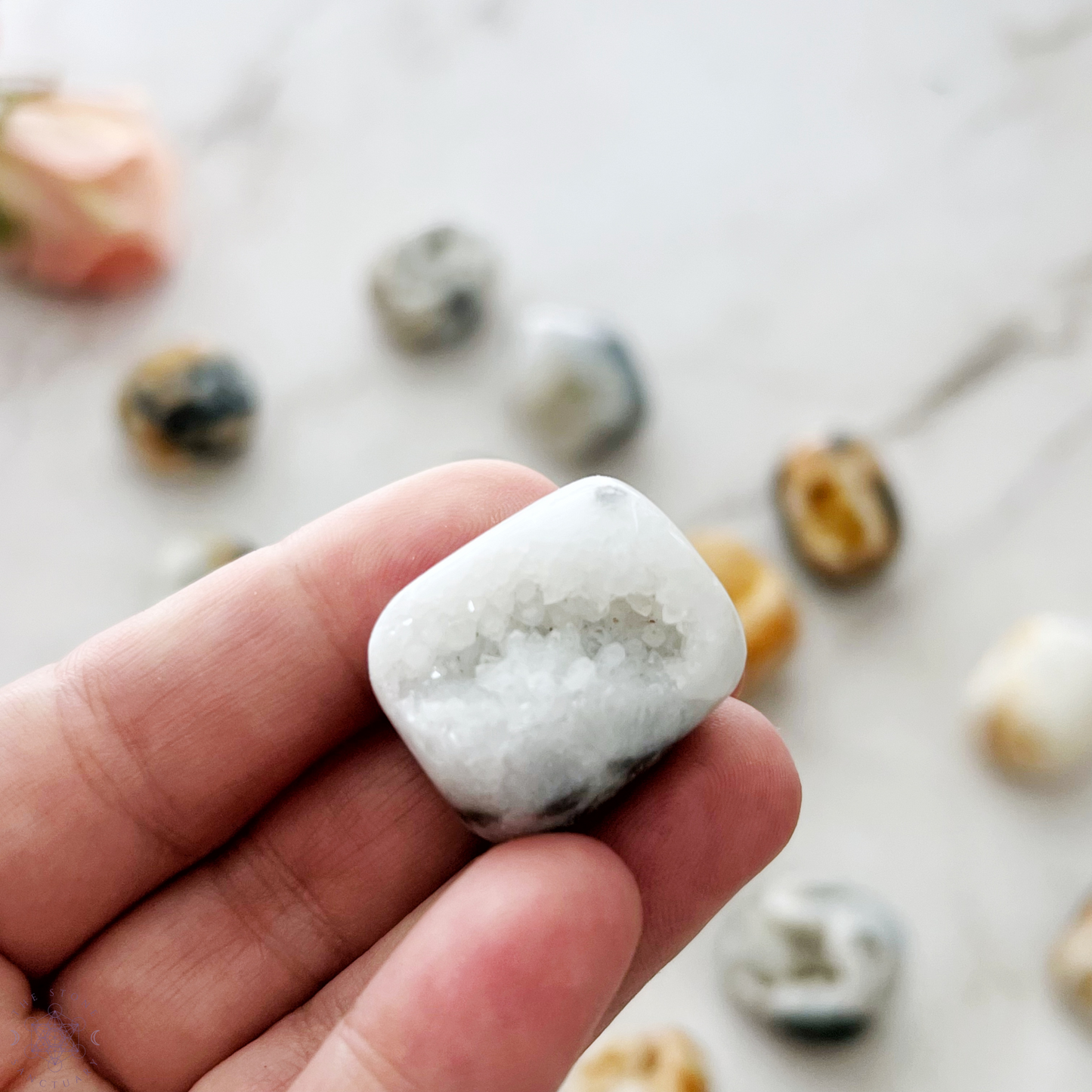 Dendritic Agate Tumbled Stones