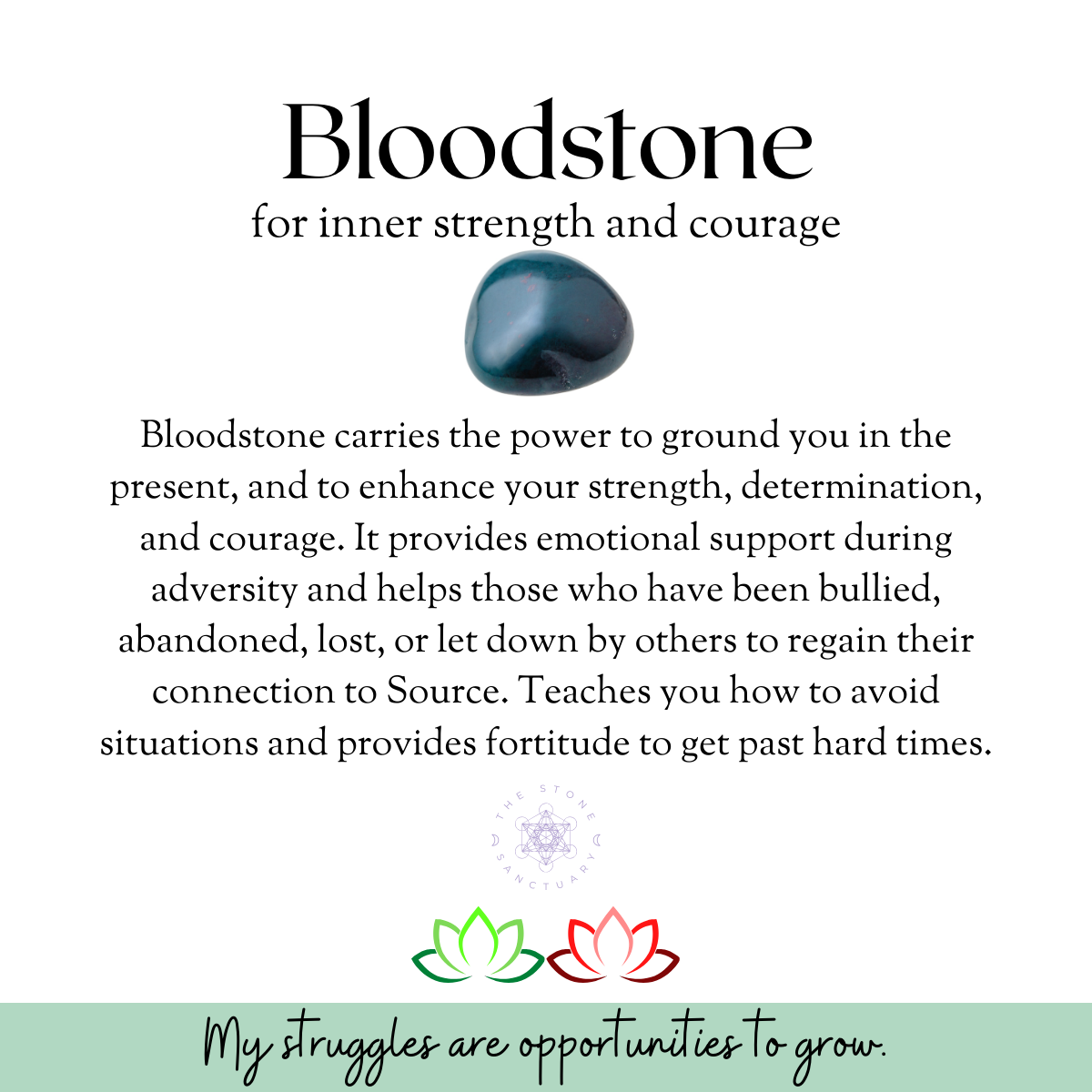 Bloodstone Worry Stone