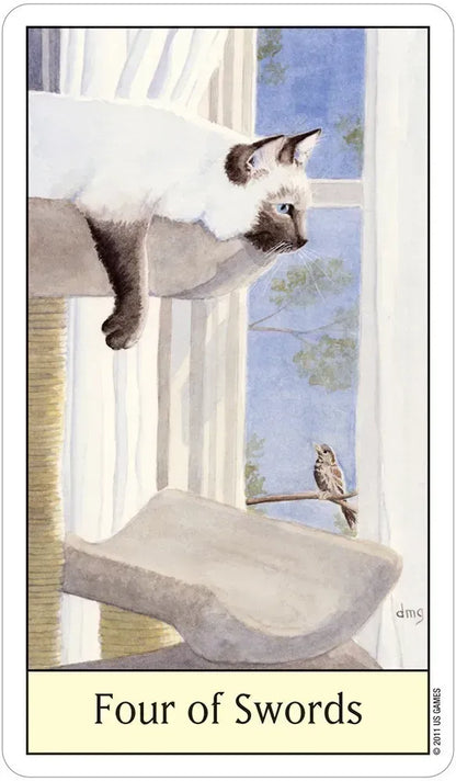 Cat's Eye Tarot Card Deck