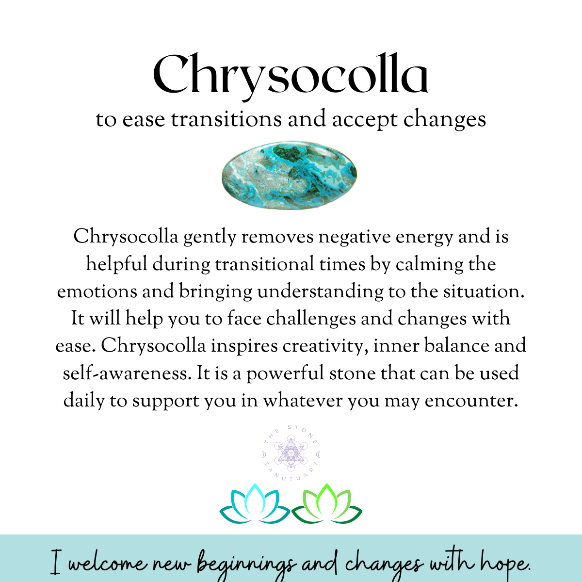 Chrysocolla Hexagonal Pendulum with Tree of Life Charm