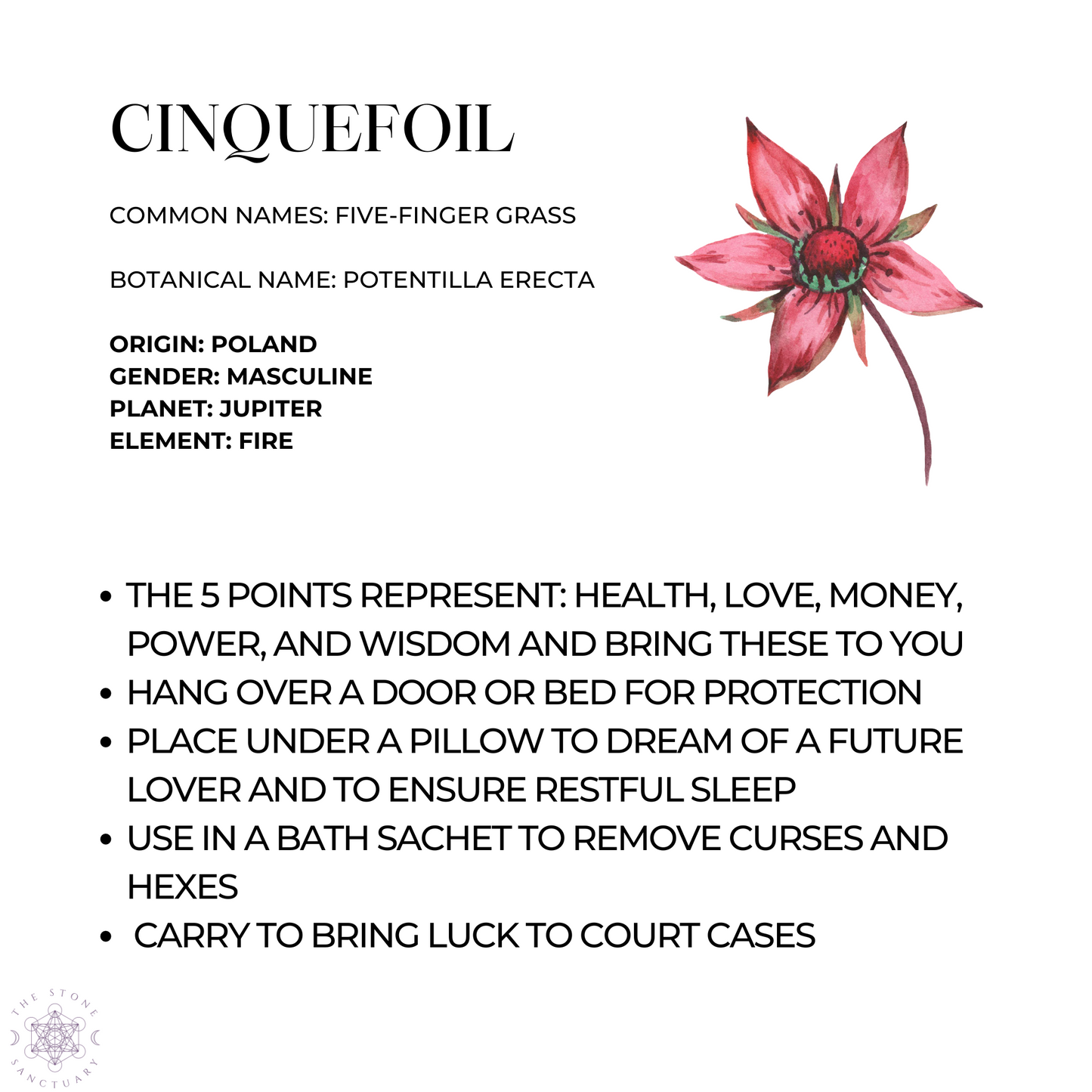 Cinquefoil Herb