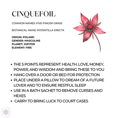 Cinquefoil Herb