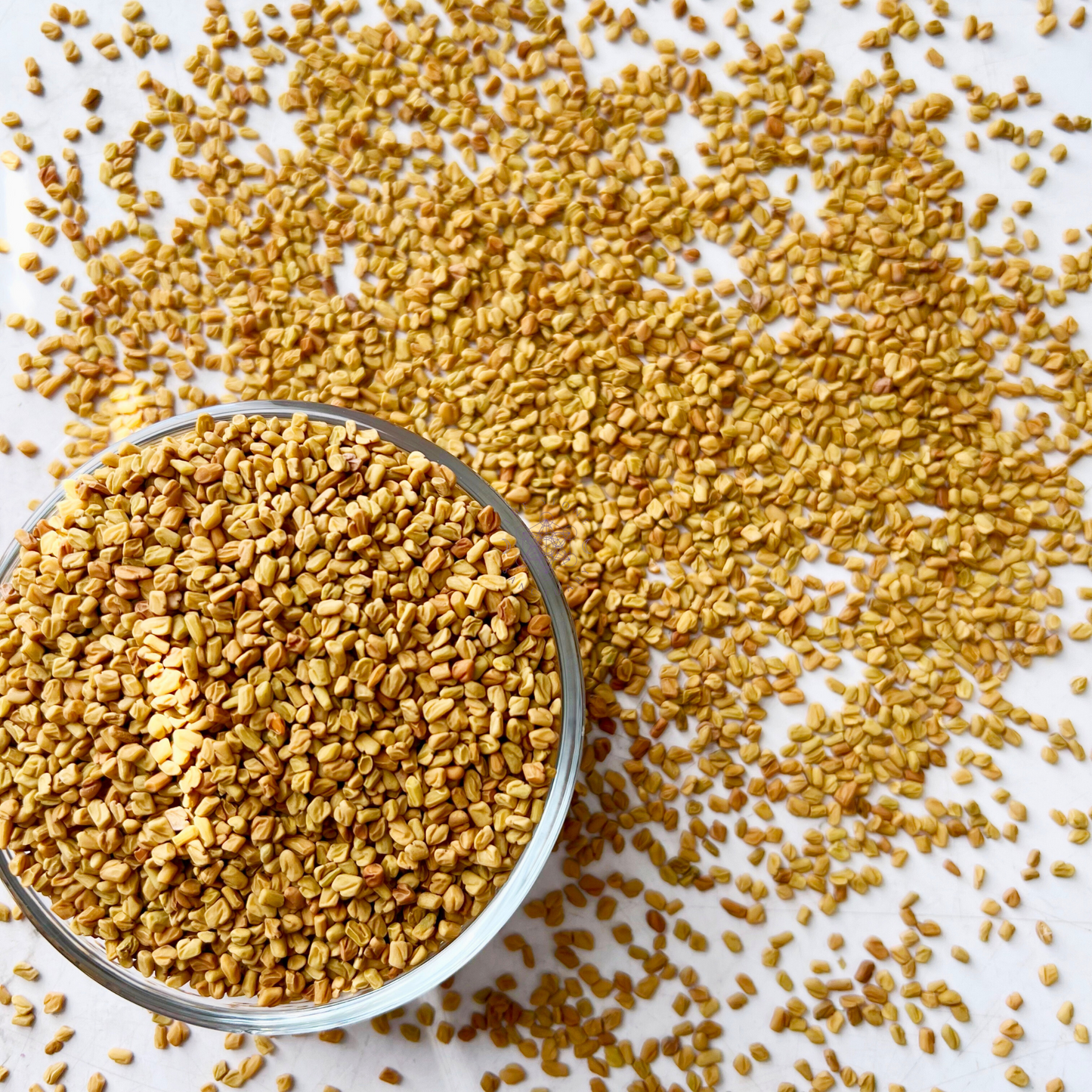 Fenugreek Seed