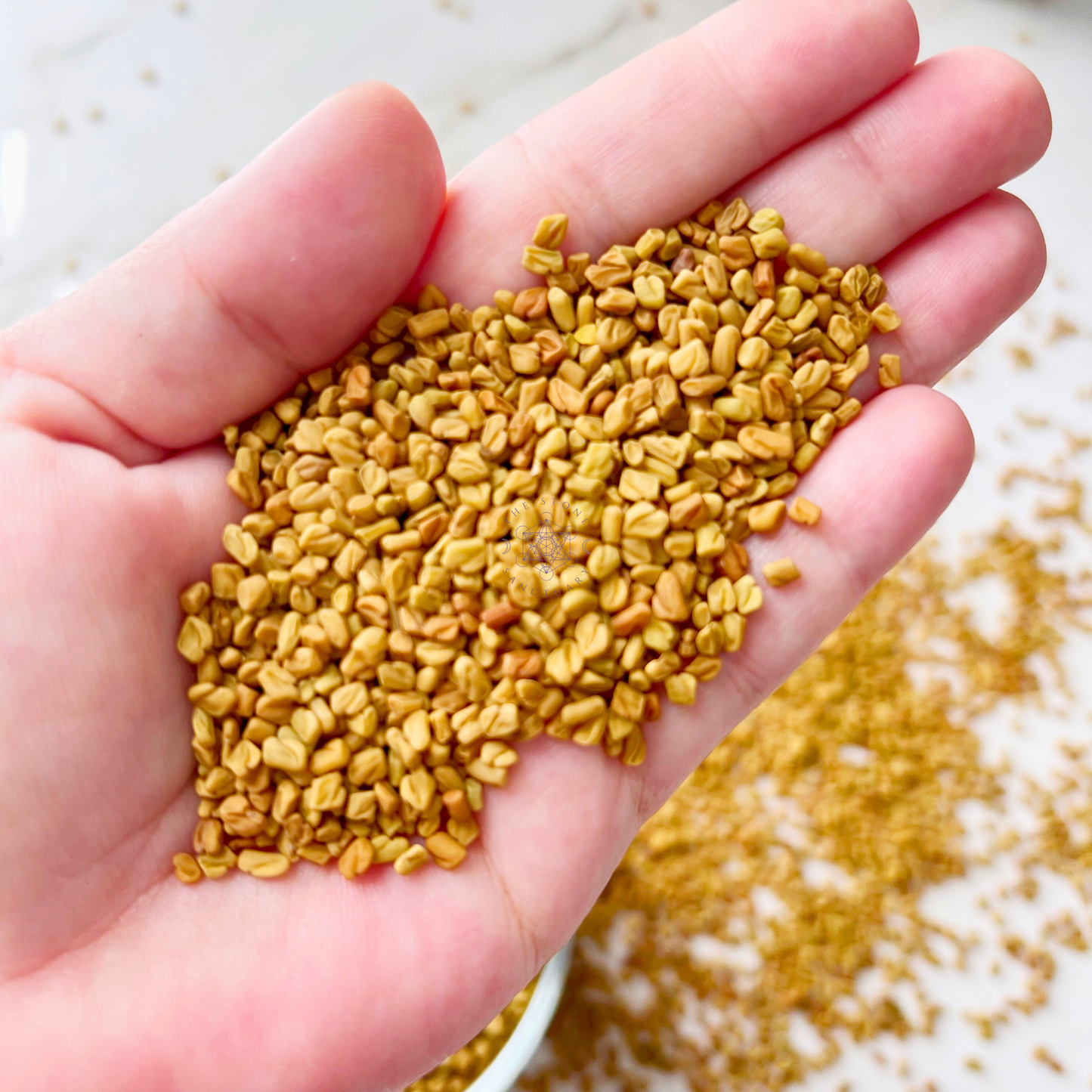 Fenugreek Seed