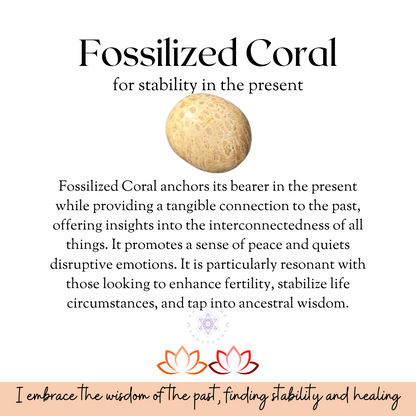 Fossilized Coral Tumbled Stones