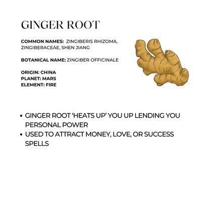 Ginger Root