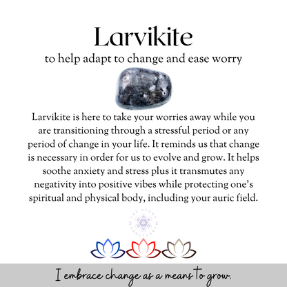 Larvikite Tumbled Stones