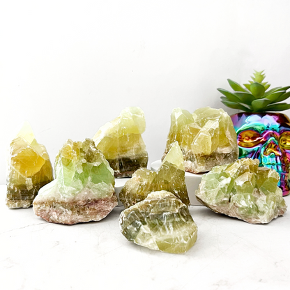 A group of X-Large Raw Green Calcite Stones, rough and unpolished in yellow and green hues, are displayed on a white table against a plain background. To the right, there is a decorative skull with colorful patterns and a small green succulent plant in a white pot.