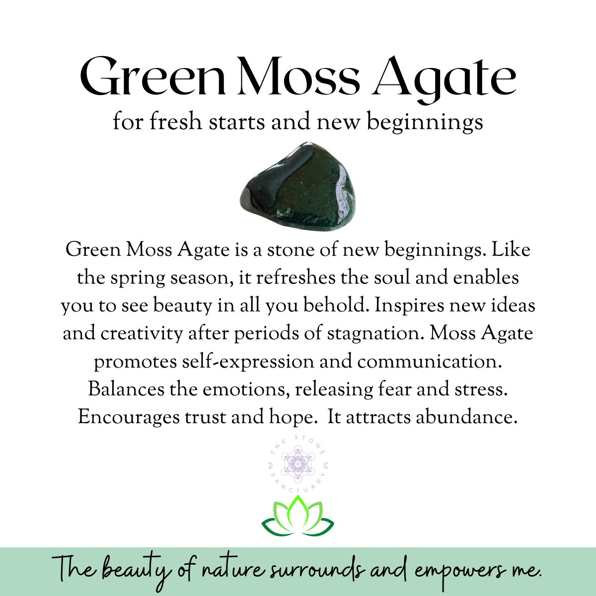 Green Moss Agate Crystal Chips