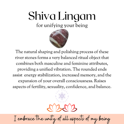 Shiva Lingam Tumbled Stones