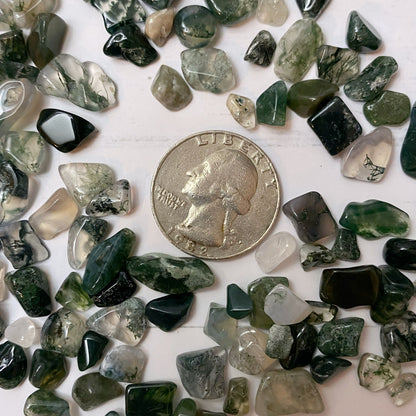 Green Moss Agate Crystal Chips