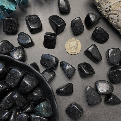 Nuummite Tumbled Stones