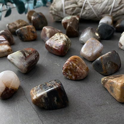 Pietersite Tumbled Stones