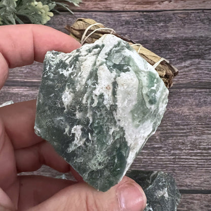 Raw Tree Agate Stones