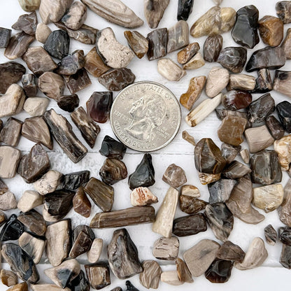 Petrified Wood Crystal Chips