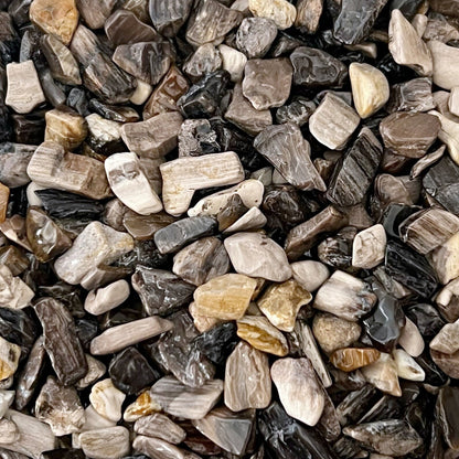 Petrified Wood Crystal Chips