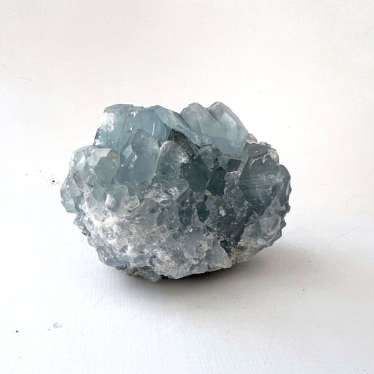 A small celestite cluster against a plain white background. The formation displays multiple transparent and translucent crystals with a rugged texture and varying shades of blue and white, evoking the serene beauty of the angelic realm.