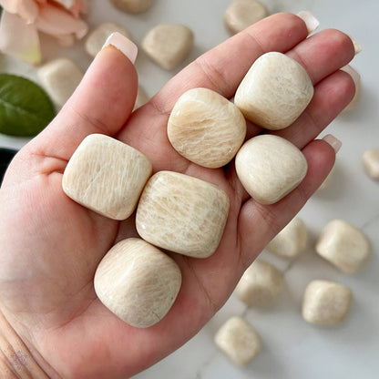 Peach Moonstone Tumbled Stones