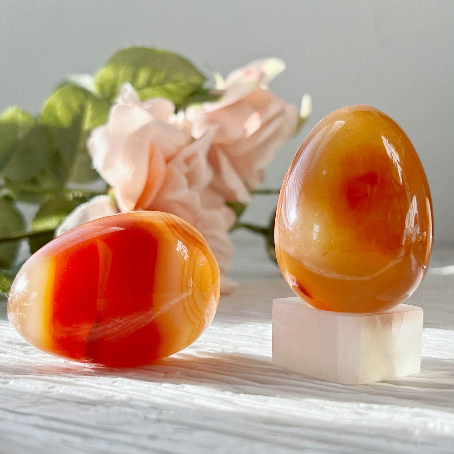 Two polished 1.75" Carnelian Agate eggs, featuring layers of orange, yellow, and red hues; one lies on its side while the other stands upright on a white cube. In the background, soft pink roses and green foliage are slightly blurred, highlighting these crystal eggs associated with the sacral chakra.