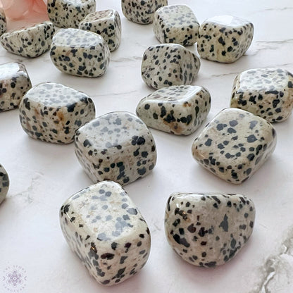 Dalmatian Jasper Tumbled Stones