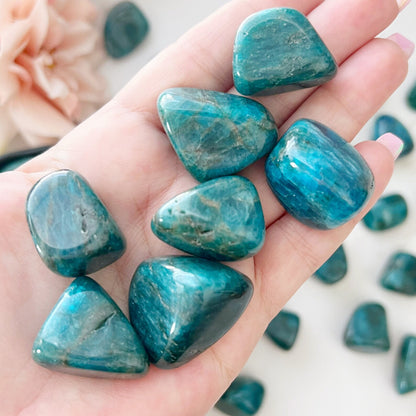 Blue Apatite Tumbled Stones