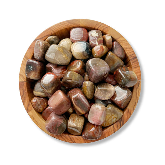 A wooden bowl filled with a variety of polished, multicolored stones, including the grounding energies of Petrified Wood Tumbled Stones. The stones have smooth, glossy surfaces and display earthy tones like brown, red, tan, and cream. The bowl rests on a white surface.