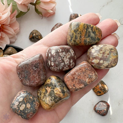 Leopard Skin Jasper Tumbled Stones