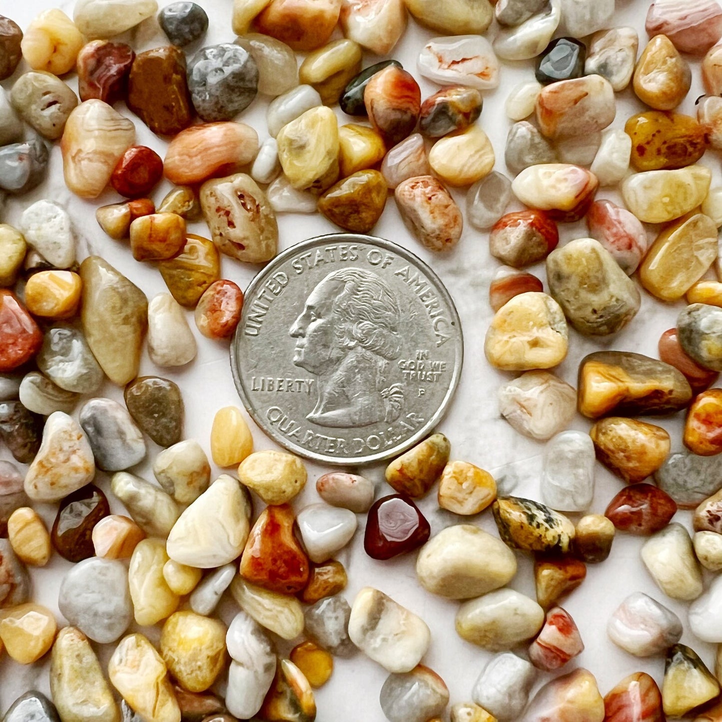 Crazy Lace Agate Crystal Chips