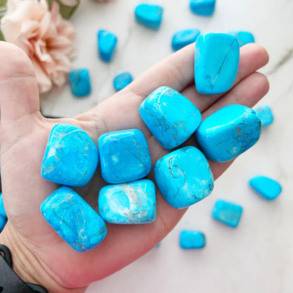 A wooden bowl filled with polished, vibrant Blue Howlite Tumbled Stones. The tumbled crystals have a glossy finish and a mix of bright blue hues with natural, intricate veining patterns. The bowl is set against a plain white background.