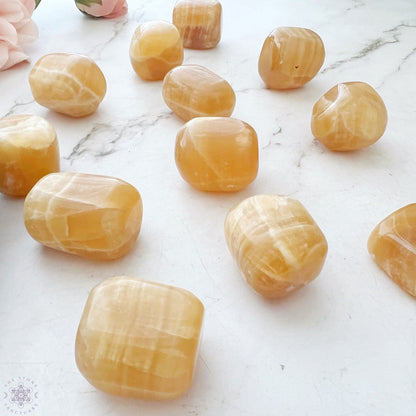 A round wooden bowl filled with polished, yellow-orange Honey Calcite Tumbled Stones. The tumbled stones have a smooth, glossy surface and vary in size and shape, giving the bowl a vibrant and reflective appearance. The white background contrasts with the bowl’s natural tones.