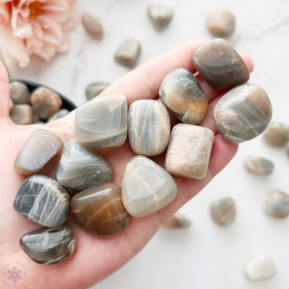 Black Moonstone Polished Tumbled Stones