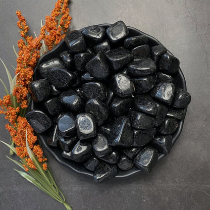 Nuummite Tumbled Stones