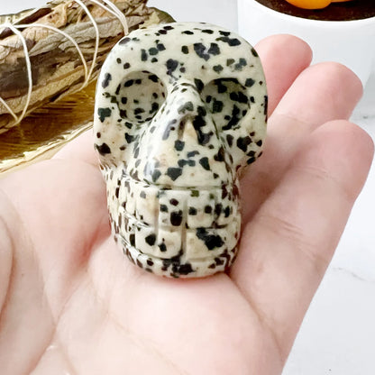 2" Dalmatian Jasper Skull