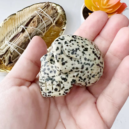 2" Dalmatian Jasper Skull