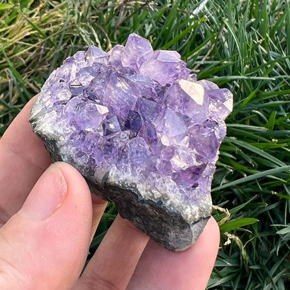 Small Amethyst Clusters