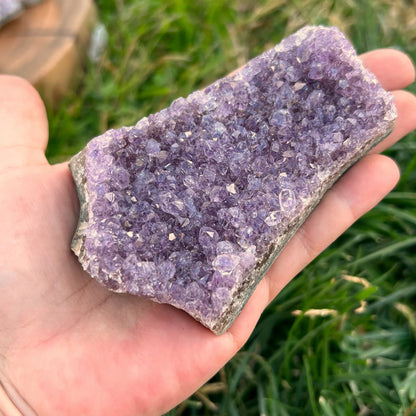 Small Amethyst Clusters