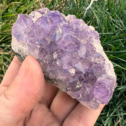 Small Amethyst Clusters