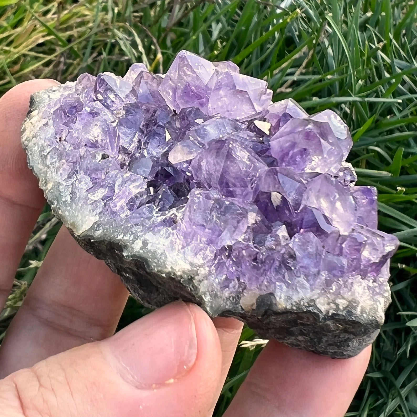 A hand holding a cluster of Small Amethyst Clusters displays various shades of violet against a backdrop of green grass. The amethyst crystals exhibit a rough, natural texture with some clear, transparent areas, highlighting the beauty of natural formations.